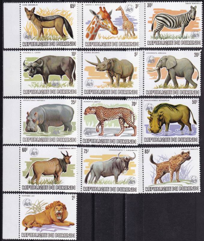 Серия - WWF
