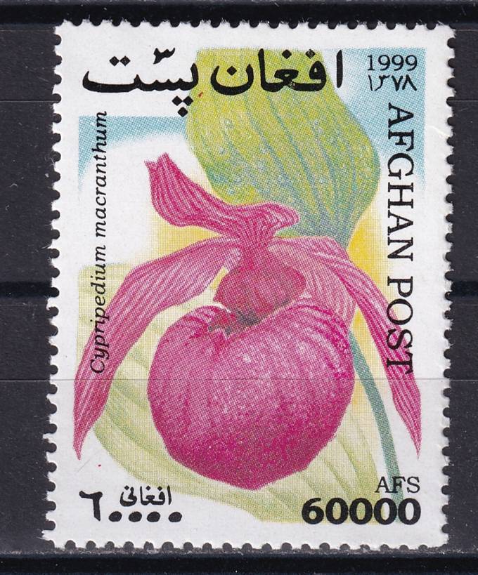 Афганистан - кат. №1921