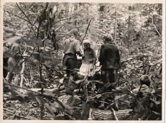 Лот 039  Фотография СССР 50-е гг.  Пионерский лагерь. Лесная прогулка.  Формат 23 х 17 см.     2 1