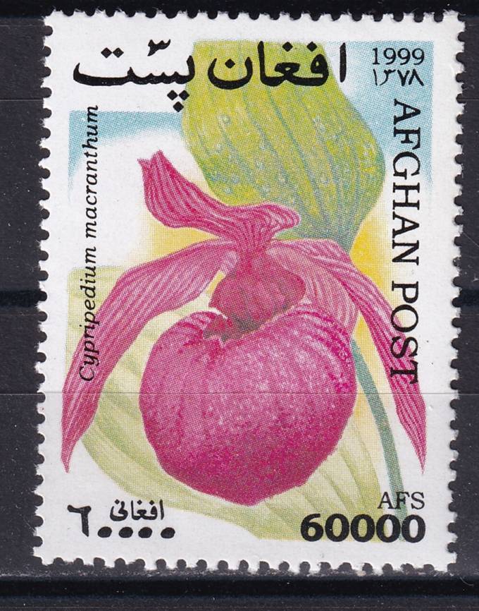 Афганистан - кат. №1921