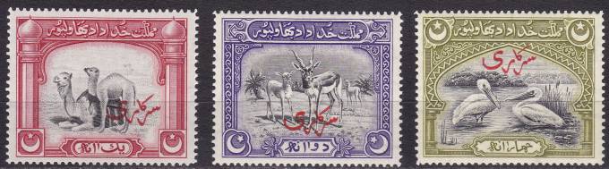 Серия - Bahawalpur