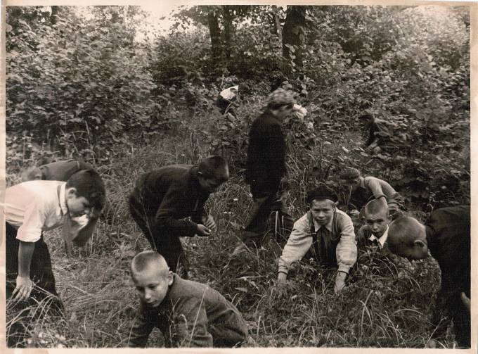 Лот 040  Фотография СССР 50-е гг.  Пионерский лагерь.  Сбор ягод в лесу.  Формат 23 х 17 см.  1 2