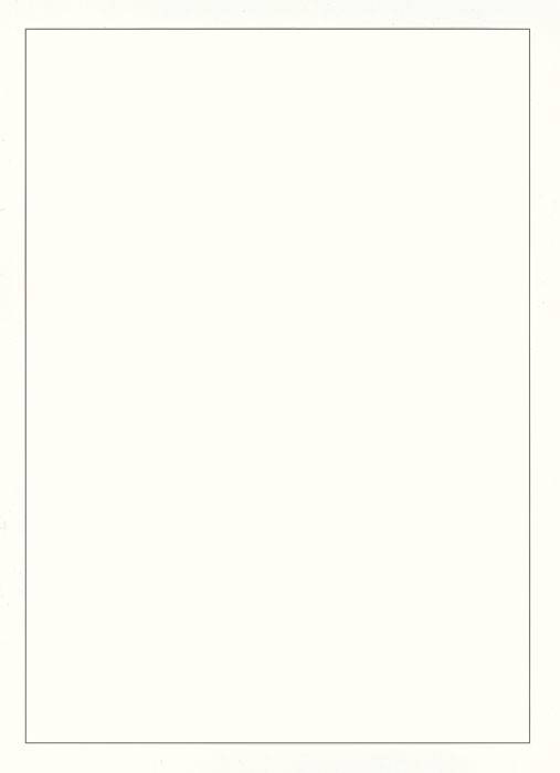 Листы " BLANKO PERMAPHIL®" белый картон без печати 10шт. (805о)