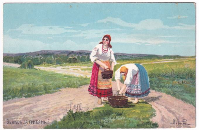 В лес за грибами