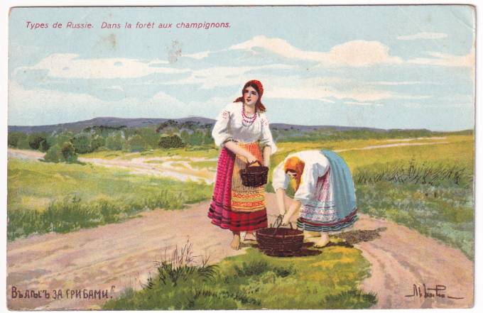 В лес за грибами