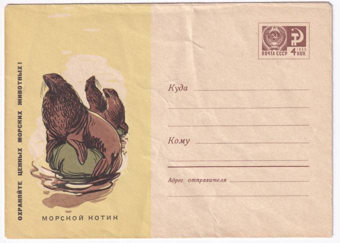 Охраняйте ценных морских животных. Морской котик