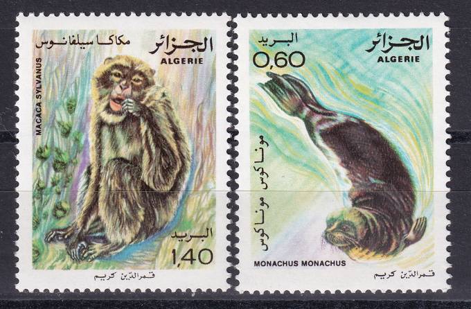 Алжир - кат. №783-784