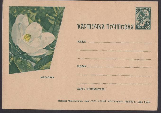 Иллюстрированная карточка №46 - Магнолия