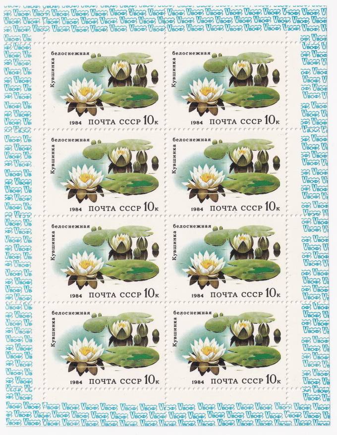 СССР - кат. Заг №5436