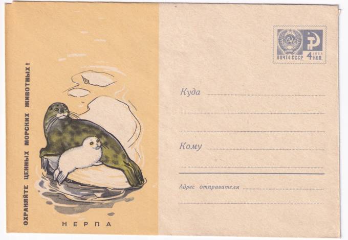 Охраняйте ценных морских животных. Нерпа
