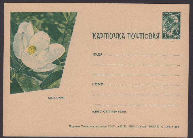 Иллюстрированная карточка №46 - Магнолия