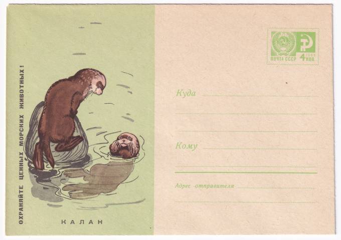 Охраняйте ценных морских животных. Калан