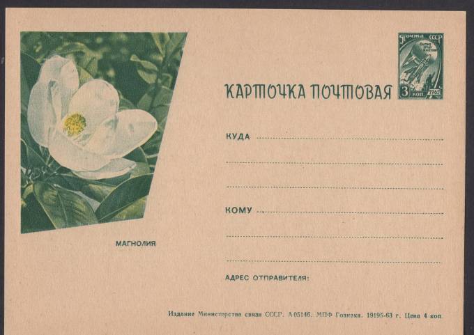 Иллюстрированная карточка №46 - Магнолия