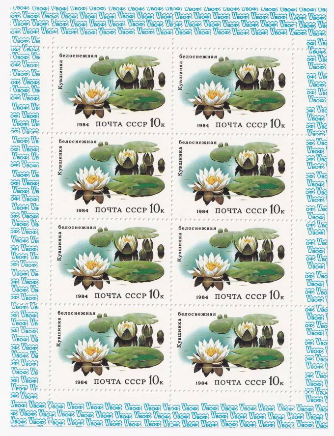 СССР - кат. Заг №5436