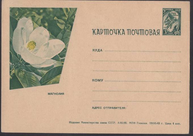 Иллюстрированная карточка №46 - Магнолия