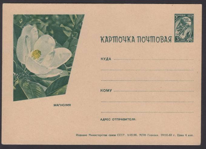 Иллюстрированная карточка №46 - Магнолия