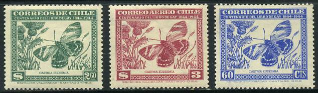 (Chile_Buterfly_001) Из большой серии только бабочки 