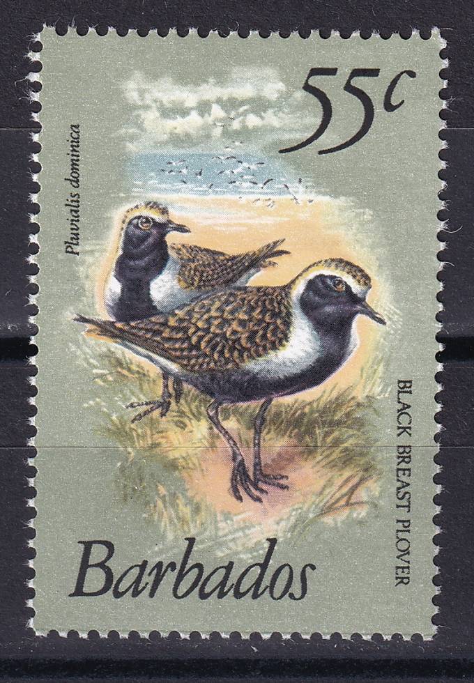Барбадос - кат. №535