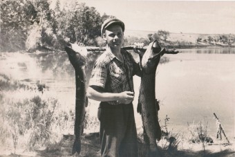 Лот 023   Фотография 50-е гг.  Формат 25 х 16 см. 1