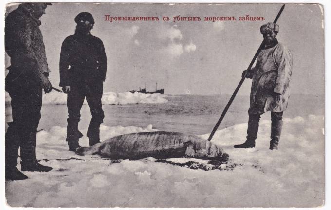 Россия - Открытка - Промышленность с убитым морским зайцем