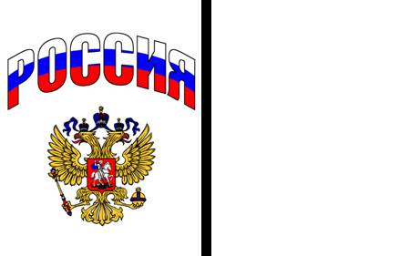 (T-SHIRT_57)Футболка "Россия"