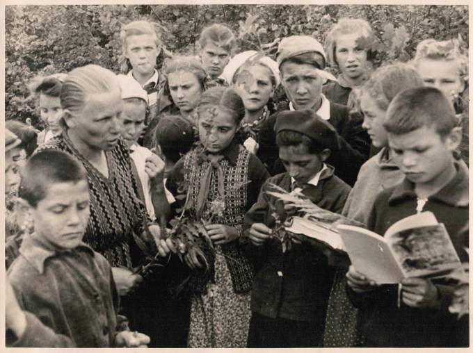Лот 025 Фотография. СССР 50-е гг.  Пионерский лагерь. Занятия по ботанике.  Формат 23 х 17 см. 1