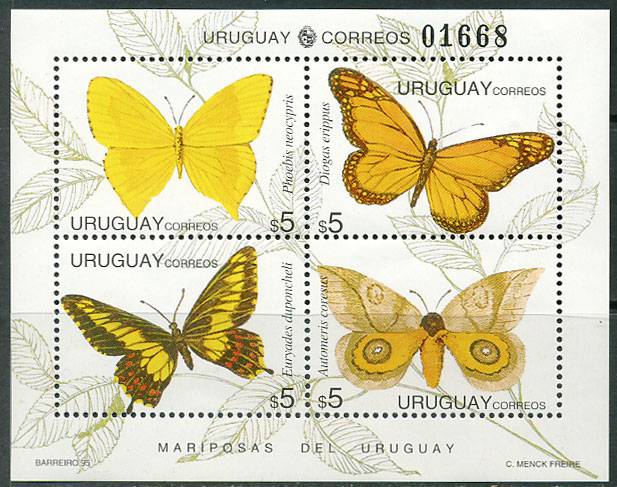(Uruguay_Buterfly_001) Бабочки  