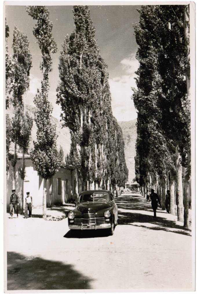 Лот 045 Фотохроника ТАСС 1950 г.  Формат 11 х 17 см.  3